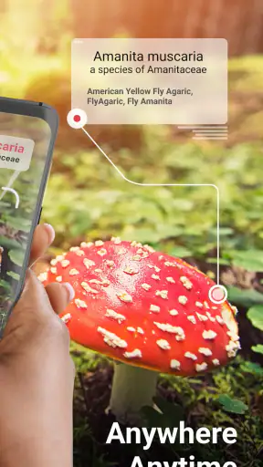 Picture Mushroom - Mushroom ID screenshot