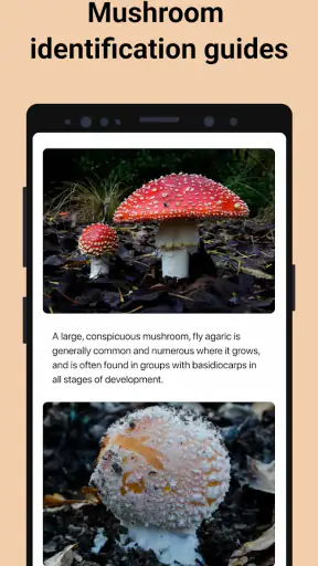 Picture Mushroom - Mushroom ID screenshot