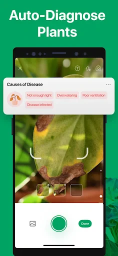 PictureThis - Plant Identifier screenshot