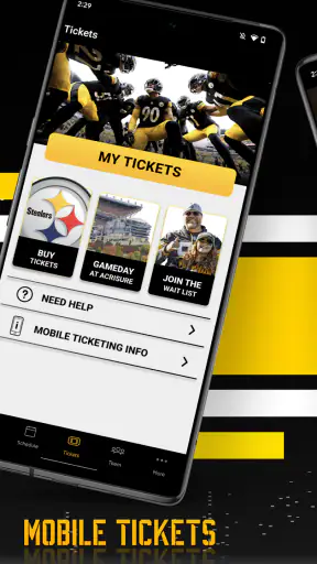 Pittsburgh Steelers screenshot