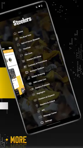 Pittsburgh Steelers screenshot