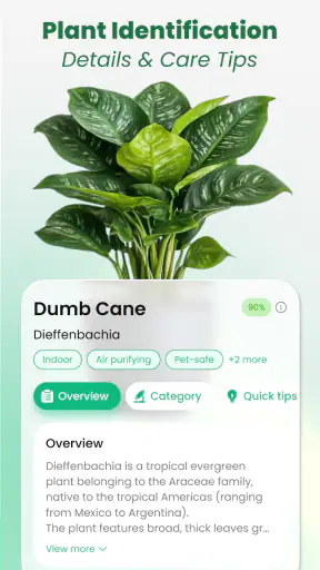 Plant Identifier: Tips & Care screenshot