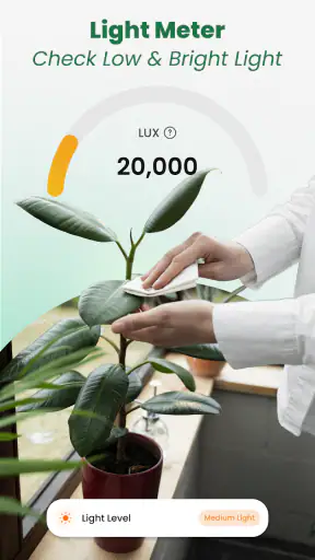 Plant Identifier: Tips & Care screenshot