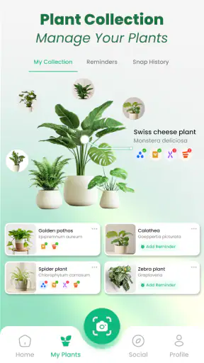 Plant Identifier: Tips & Care screenshot