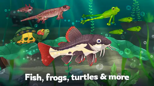 Pondlife — Fish, Frogs & More! screenshot