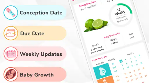 Pregnancy Calculator: Due Date screenshot