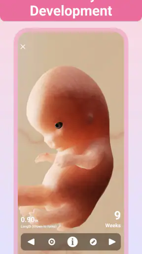 Pregnancy + | Tracker App screenshot