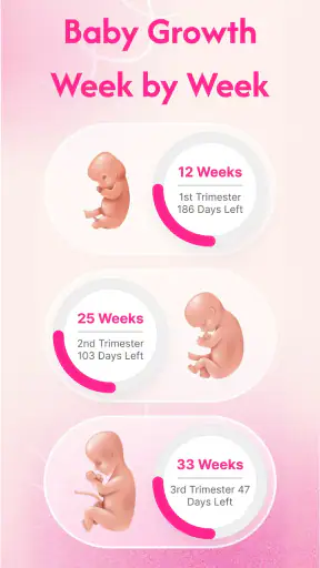 Pregnancy Tracker & Calculator screenshot