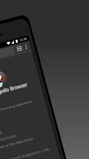 Puffin Incognito Browser screenshot