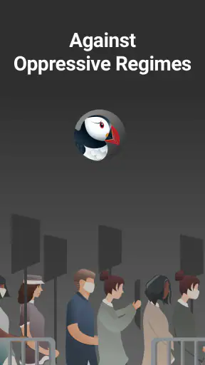 Puffin Incognito Browser screenshot