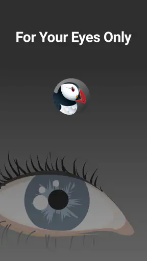 Puffin Incognito Browser screenshot