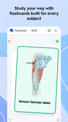 Quizlet: More than Flashcards screenshot