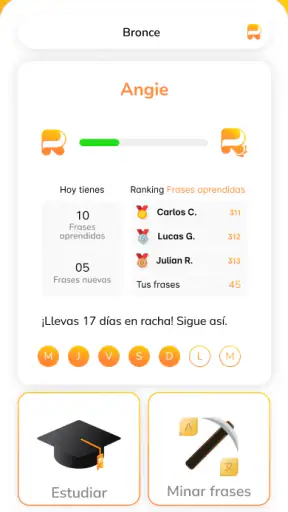RAIO screenshot