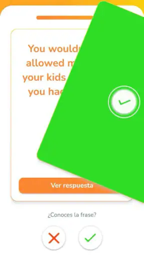RAIO screenshot