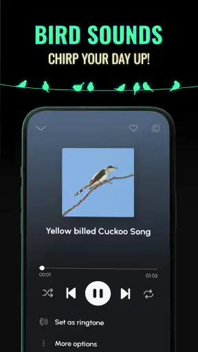 Ringtones for Android™ screenshot
