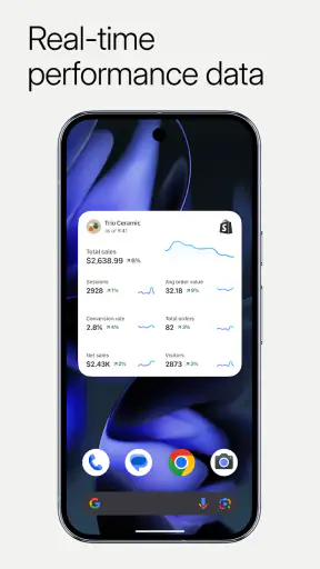 Shopify: Sell online/in person screenshot