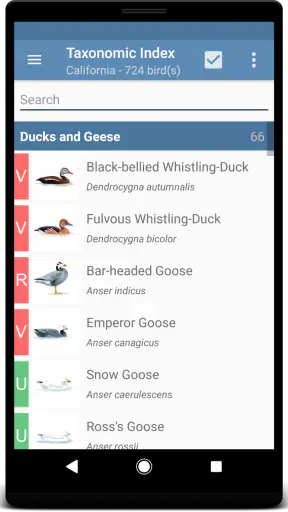 Sibley Birds 2nd Edition screenshot