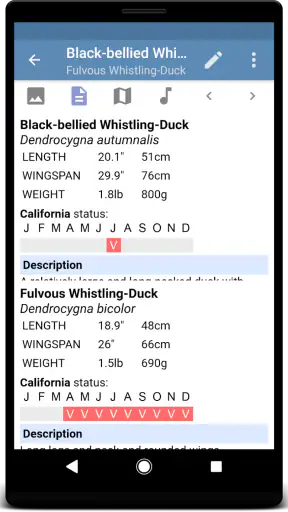 Sibley Birds 2nd Edition screenshot