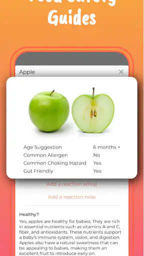 Start Solids & Baby Recipes screenshot