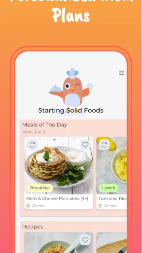 Start Solids & Baby Recipes screenshot