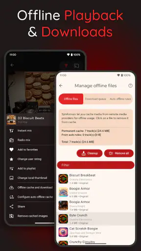 Symfonium: Music player & cast screenshot