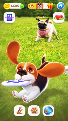 Tamadog - Puppy Pet Dog Games screenshot
