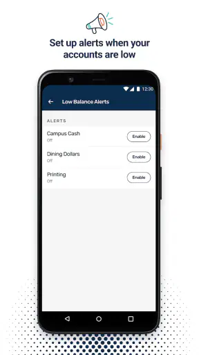Transact eAccounts screenshot