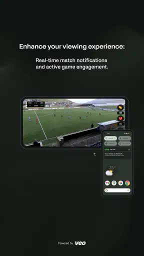 Veo screenshot