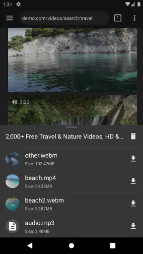 Video Downloader Pro screenshot