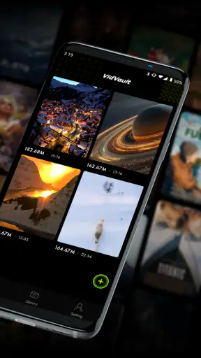 VidVault screenshot