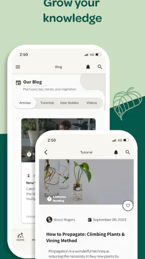 Willow screenshot