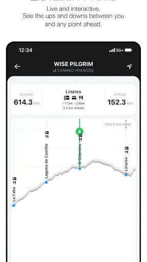Wise Pilgrim Camino Francés screenshot