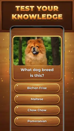 Wood Quiz Blast: Trivia Blocks screenshot
