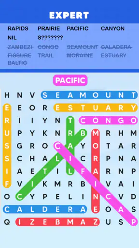 Word Search Puzzle Challenge screenshot