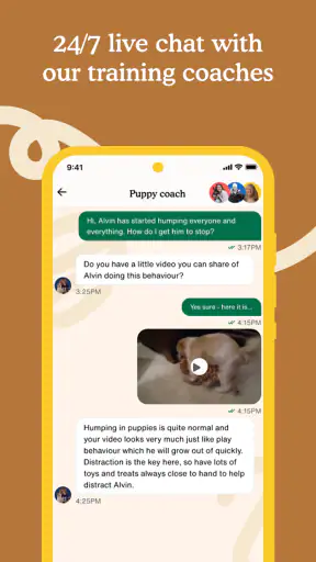 Zigzag - Dog & Puppy Training screenshot
